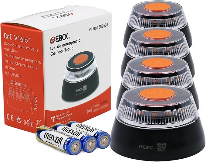 Seguridad Profesional para Flotas y Empresas